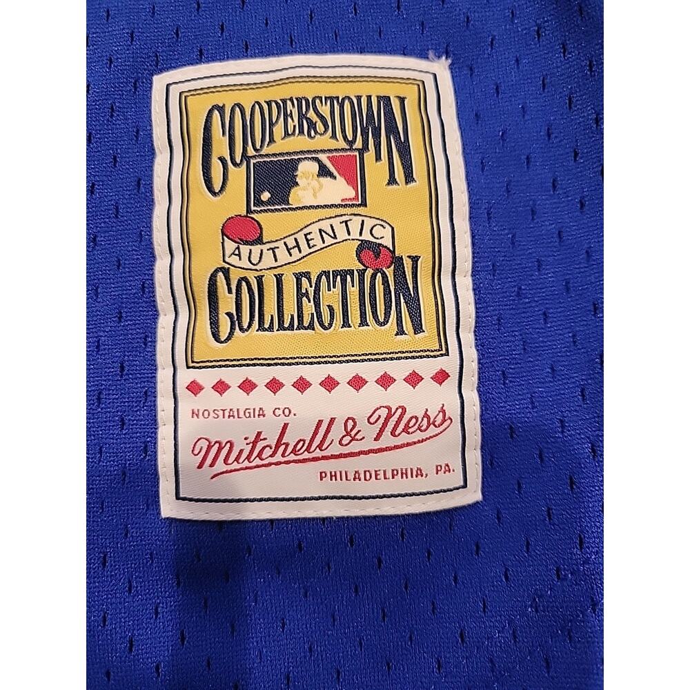 Mitchell & Ness Mike Piazza Los Angeles Dodgers Jersey Baseball Mens Medium - Picture 6 of 11